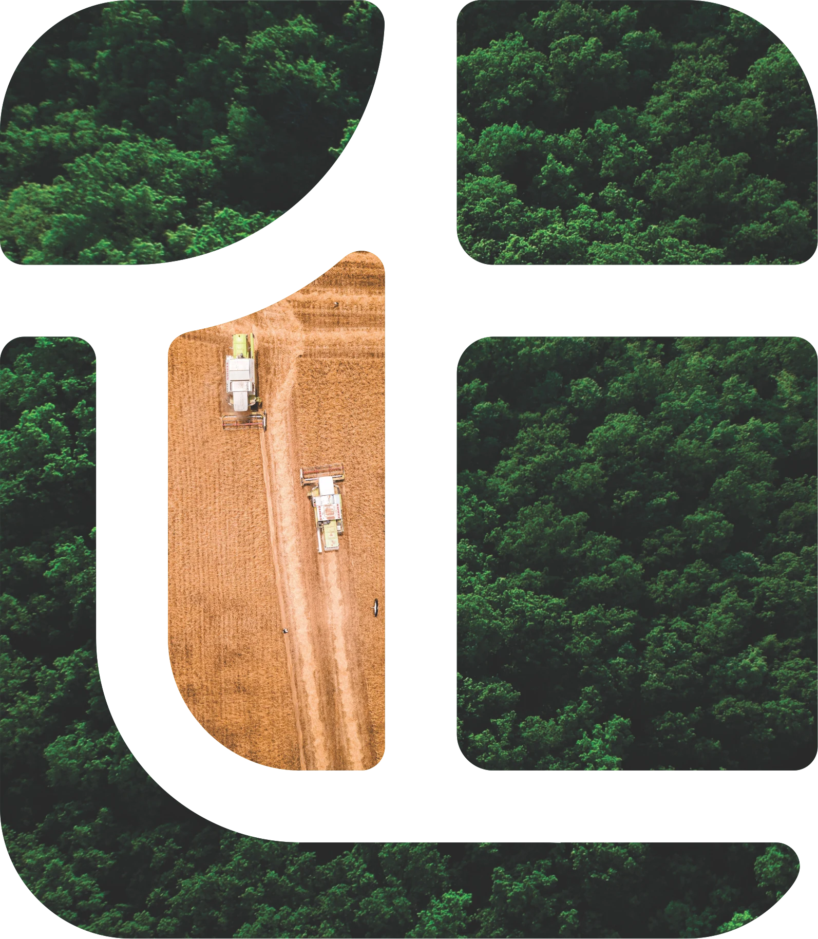 Composição visual entre floresta preservada e atividade produtiva, representando valor ambiental e econômico